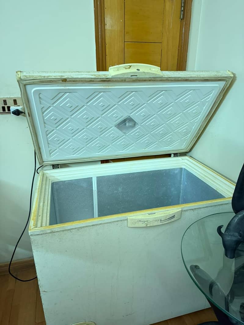 freezer 1