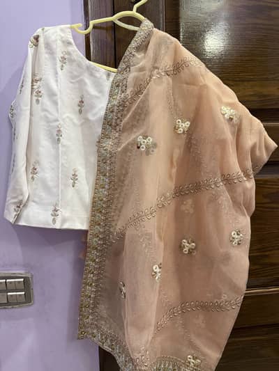 Pastel Pink & White Embroidered Festive Suit