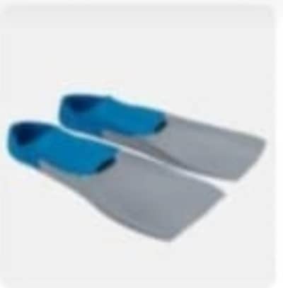 Speedo Professional Long Blade Flippers