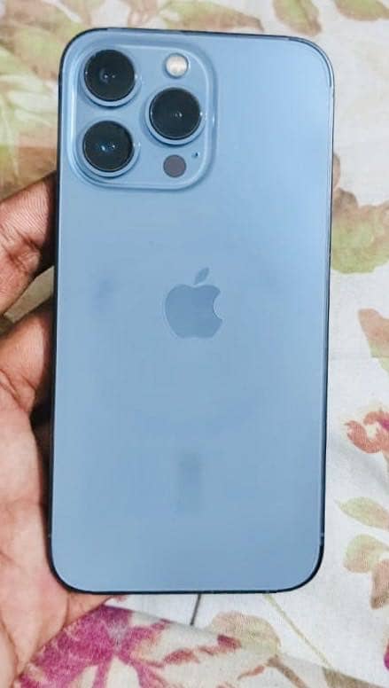 13 pro 1