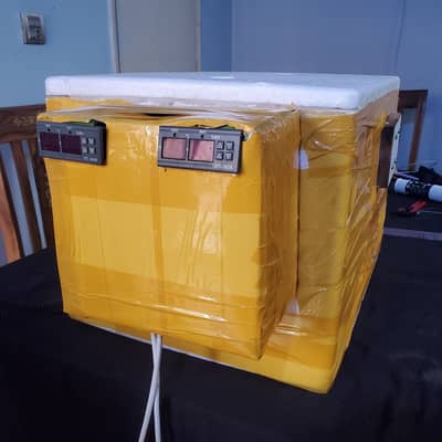 Thermocol Incubator for 80 eggs Semi  Auto