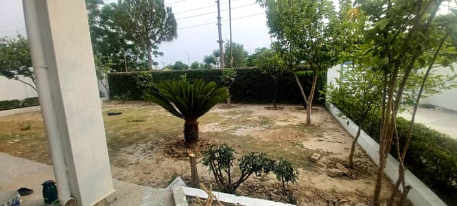2 Kanal House is Available For Rent.