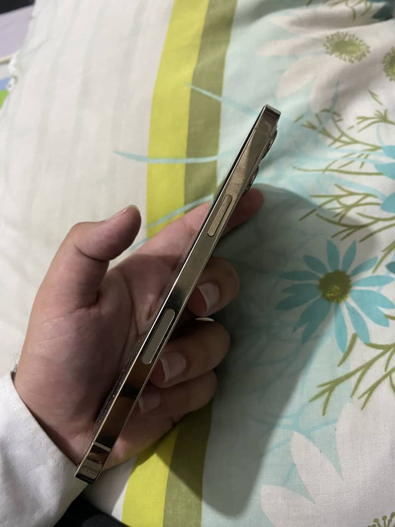 Iphone 12 pro max 2