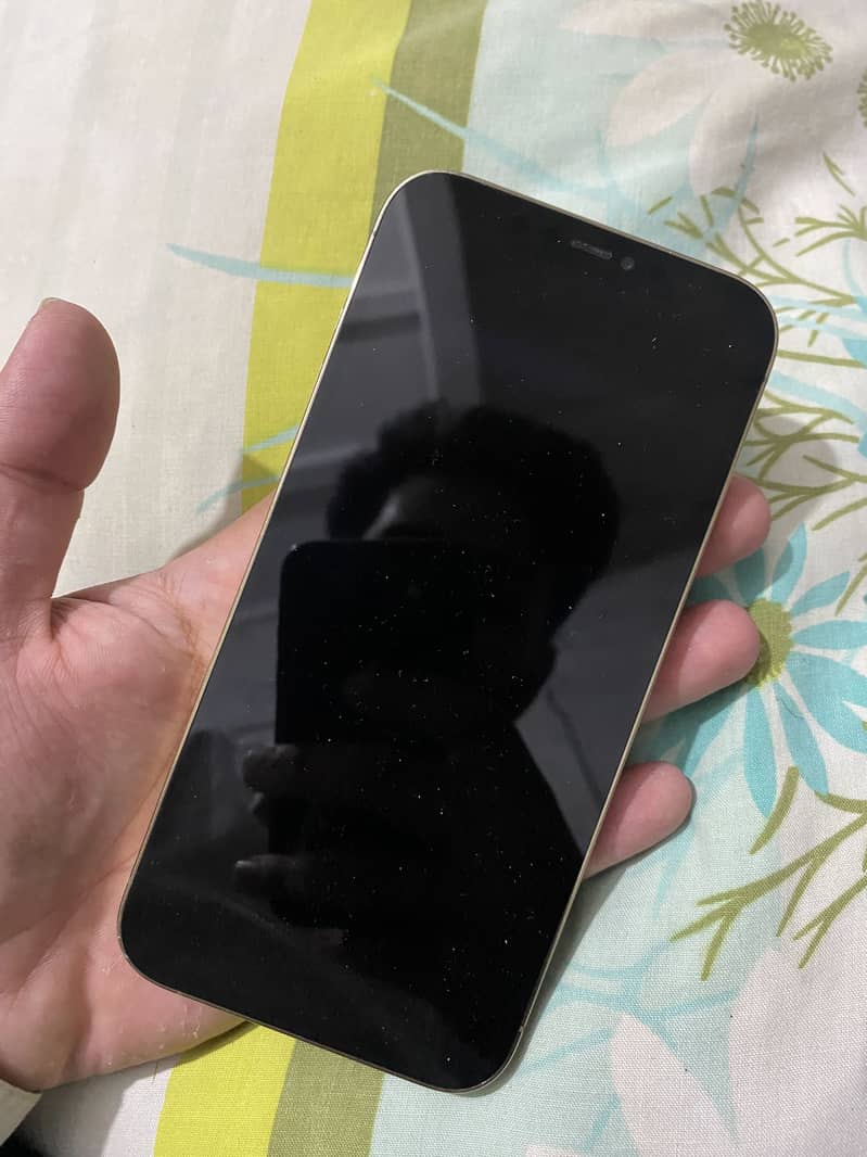 Iphone 12 pro max 4