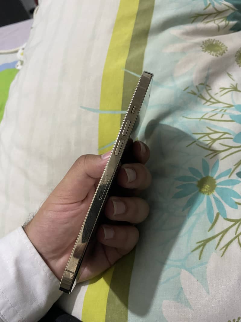 Iphone 12 pro max 9