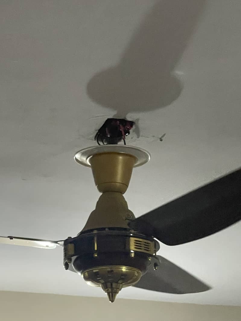 2 Fans 1