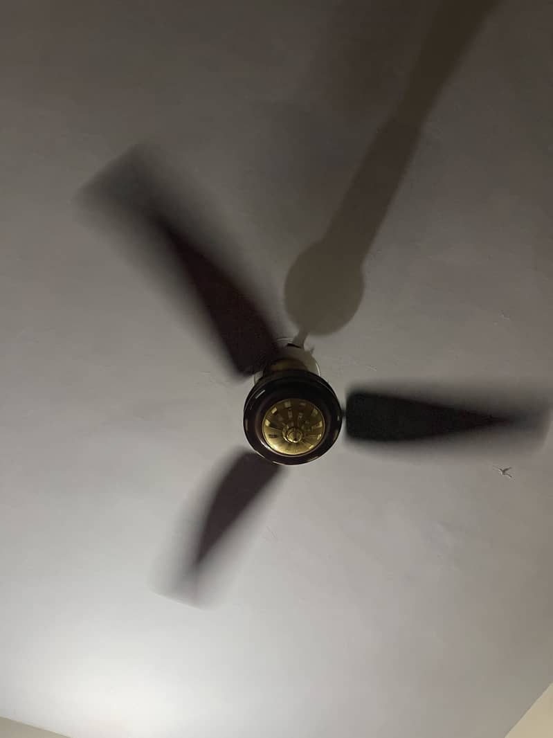 2 Fans 2