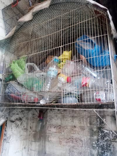 cage for birds