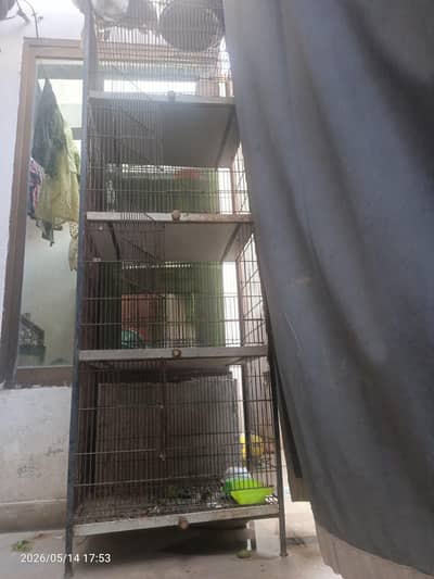 cage for bird and hen