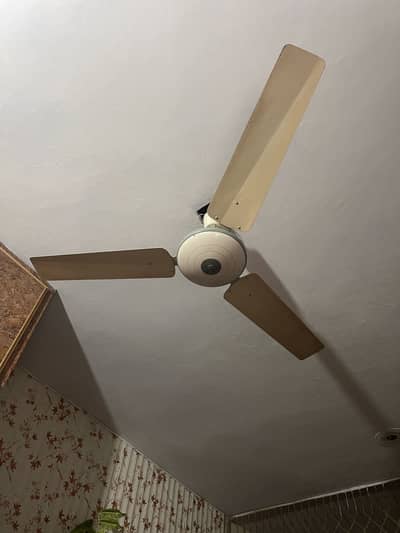Owsam Fan