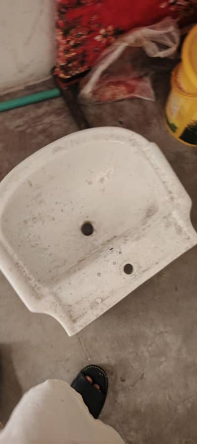 bassen for sale