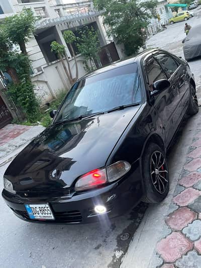 Civic 95 dolphin