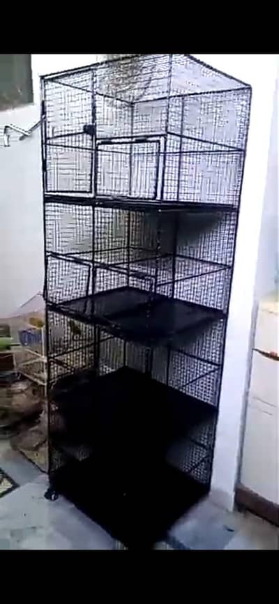 Iron Cage