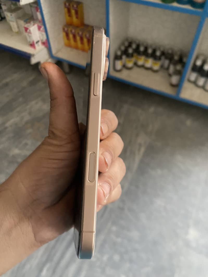 Apple iPhone 16 Pro Max 1