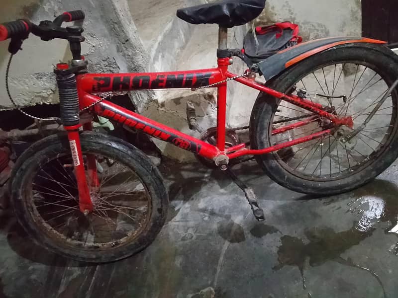 stylish bicycle 0