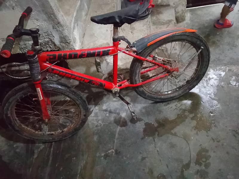 stylish bicycle 1