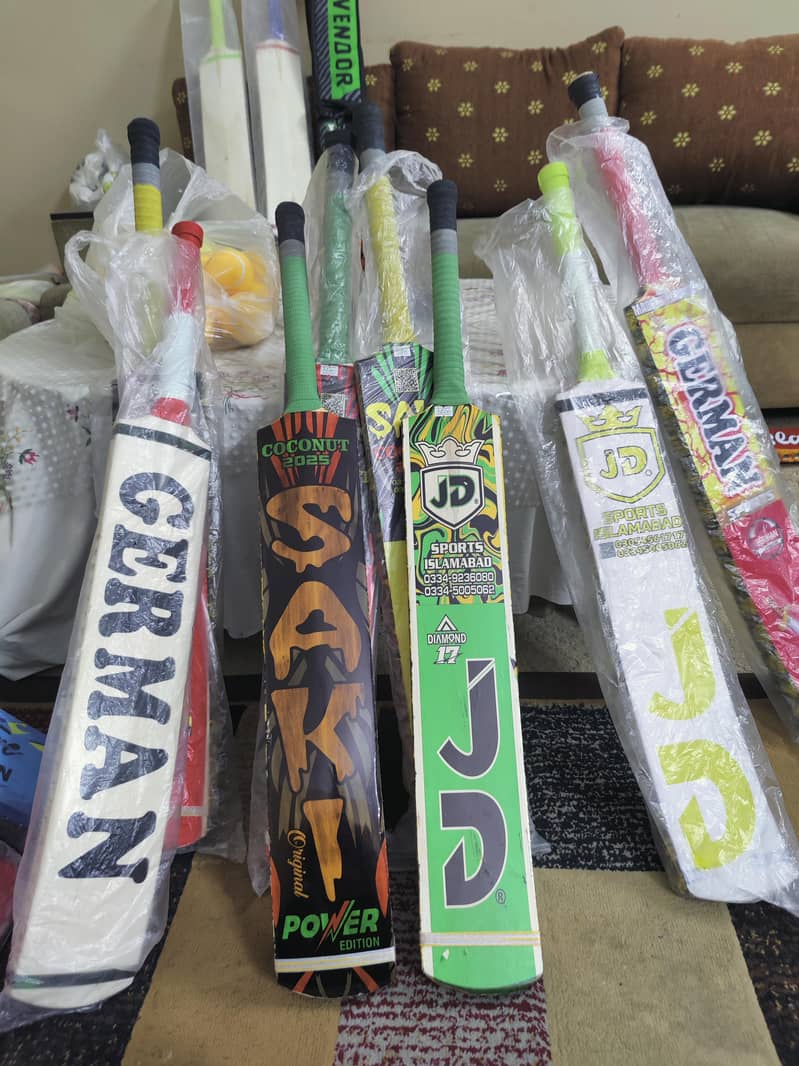 Cricket bat 1