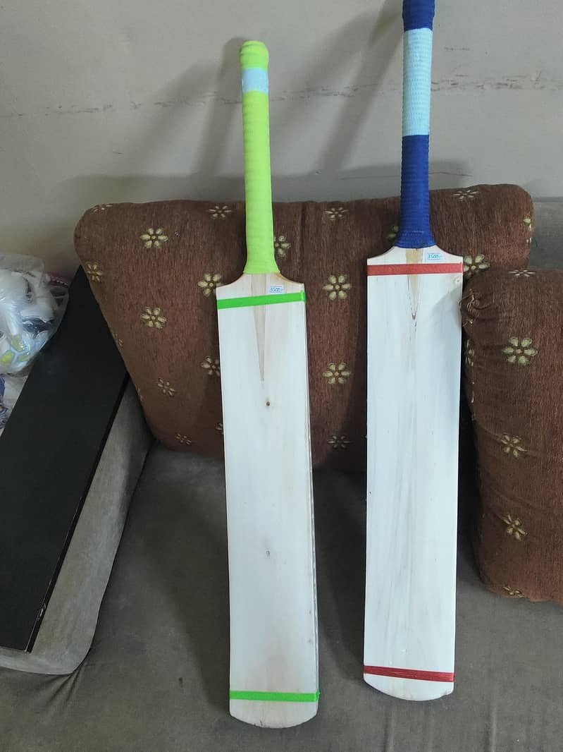 Cricket bat 2