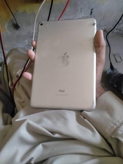 mini 5