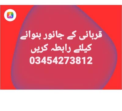 قربانی کیلئے قصائی دستیاب ہے