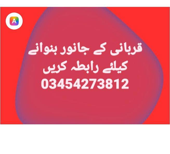 قربانی کیلئے قصائی دستیاب ہے 0