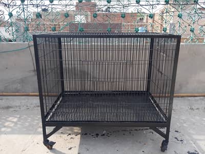 for sale
