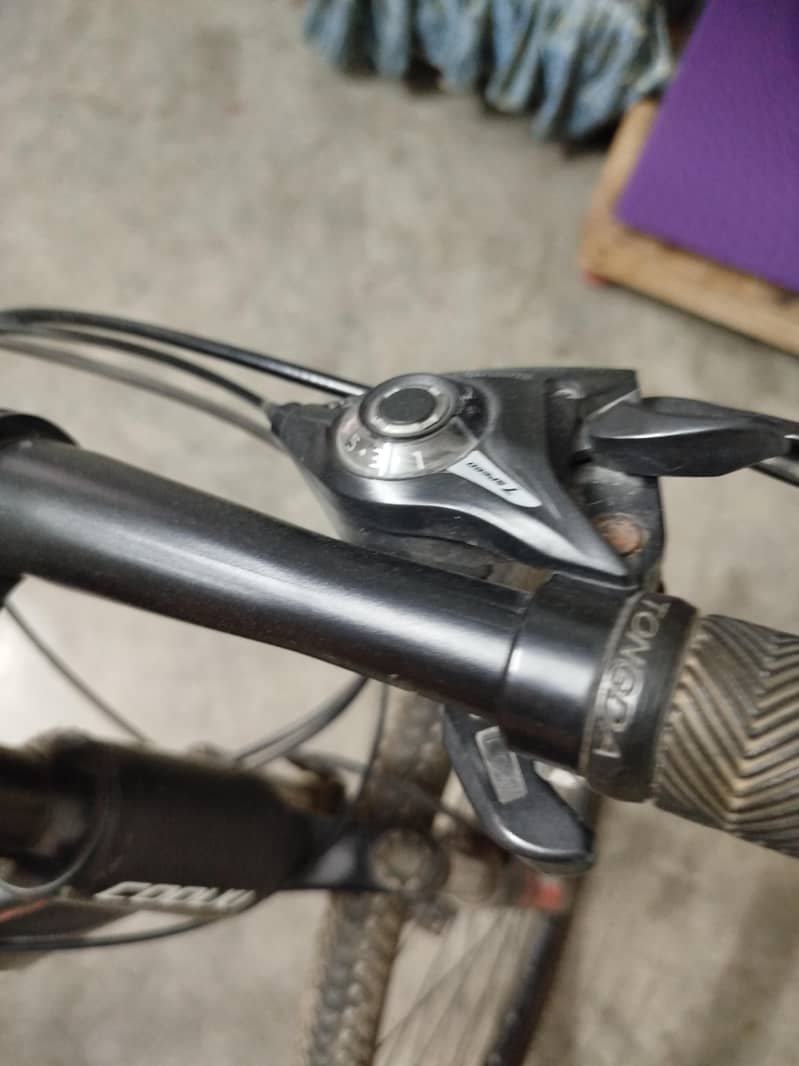 bicycle 1