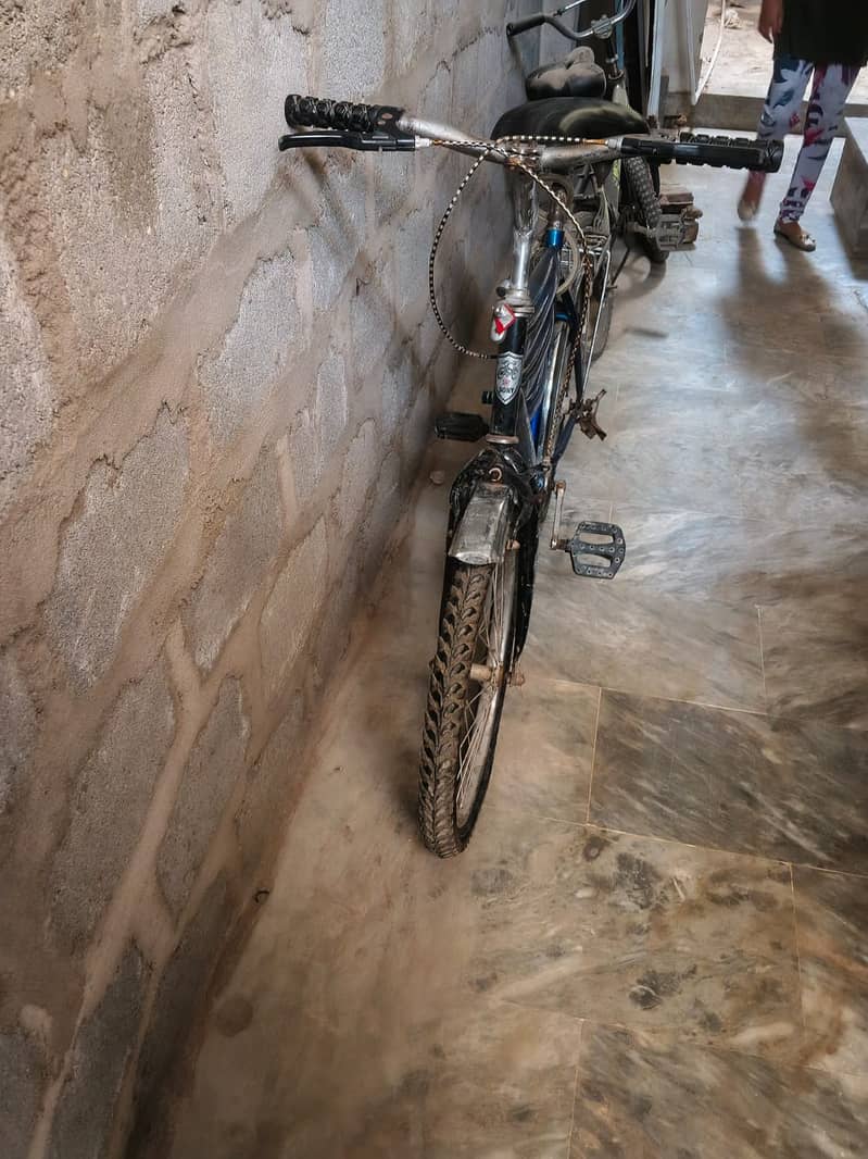 Bicycle 4