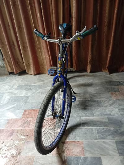 binchi cycal and used