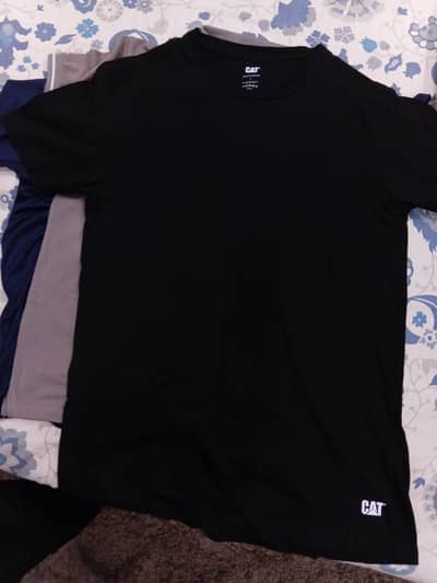 Large Sizes