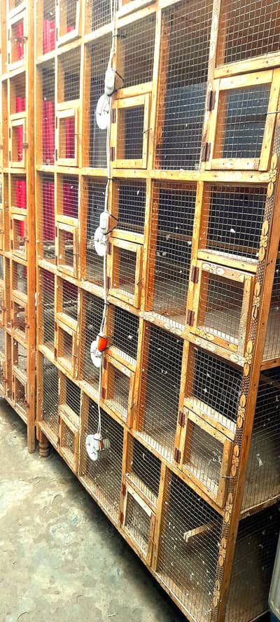 14 portion wooden heavy Cage urgently for sale 0304,4976,220