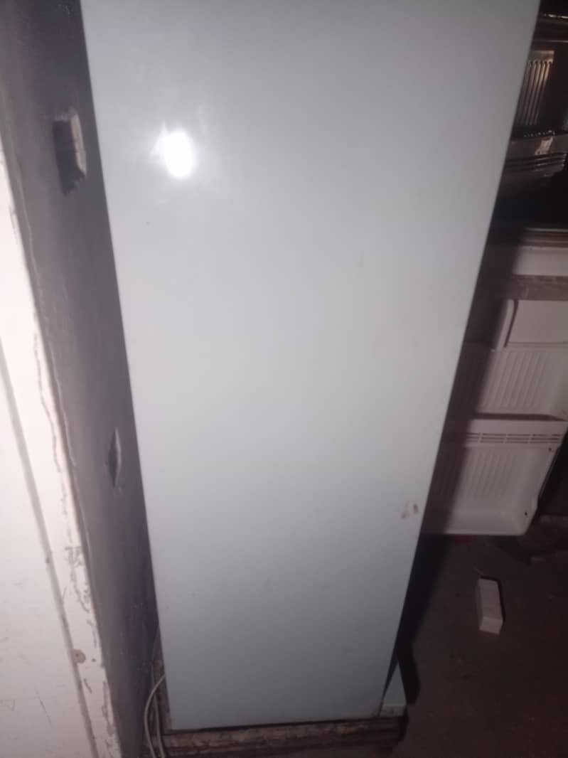 Singer Fridge 1