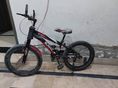 super classic Bicycle SB 300
