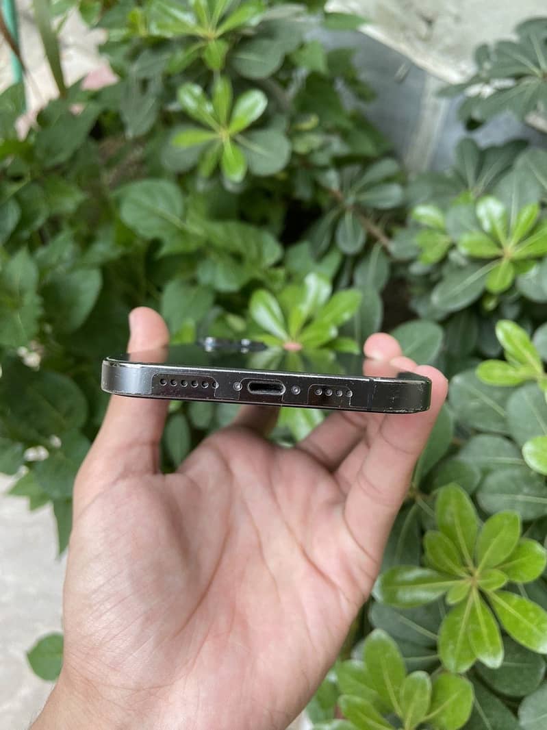 iPhone 12 Pro Max Jv 2
