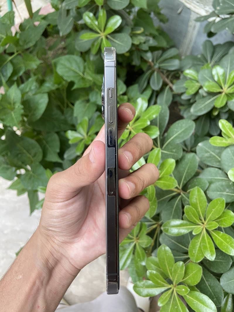 iPhone 12 Pro Max Jv 3