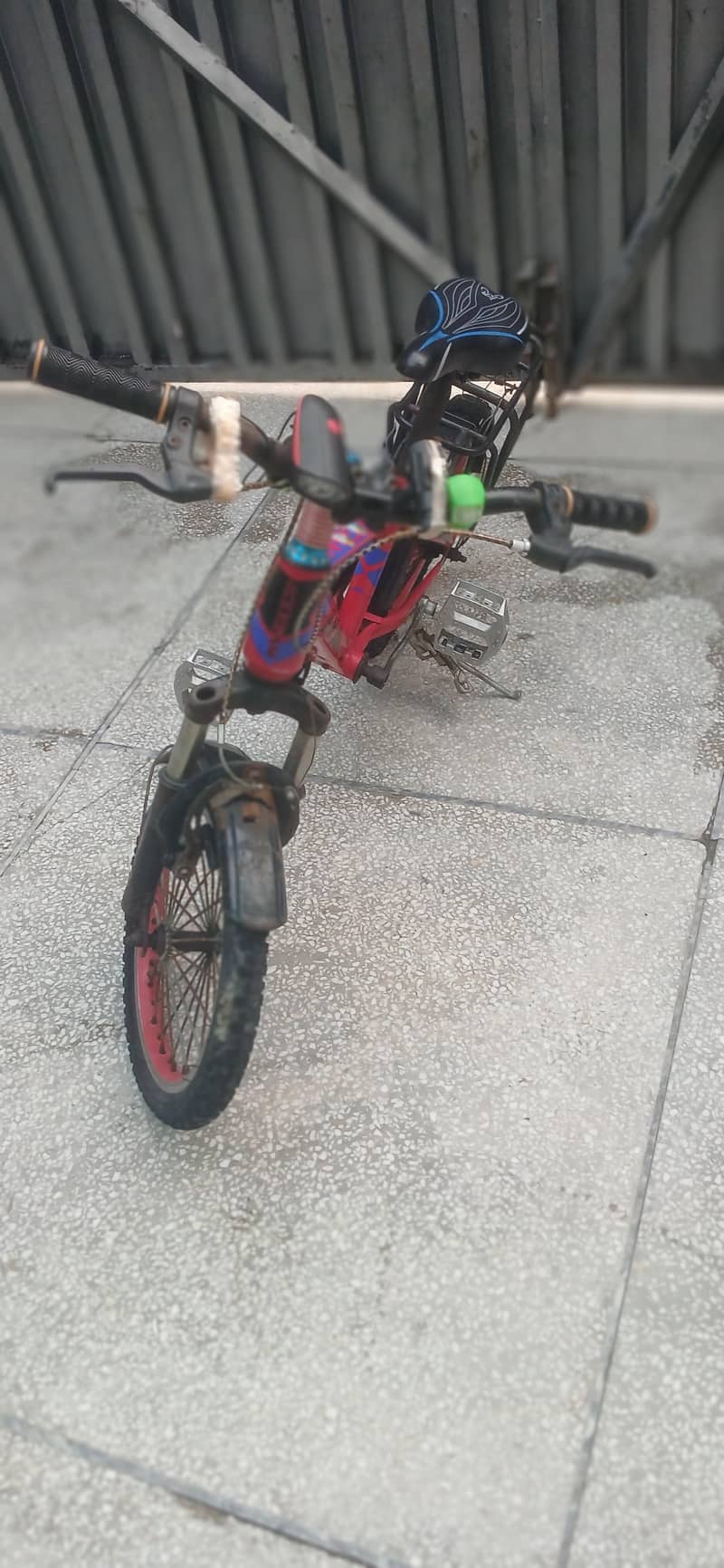 Morgan cycle 2