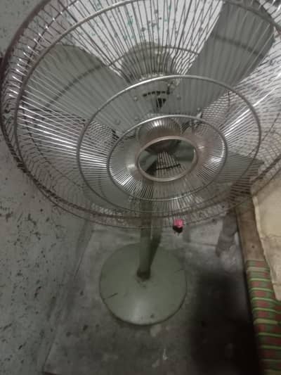 fans.