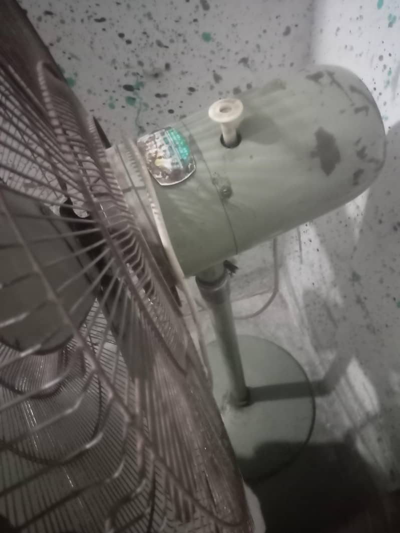 fans. 1