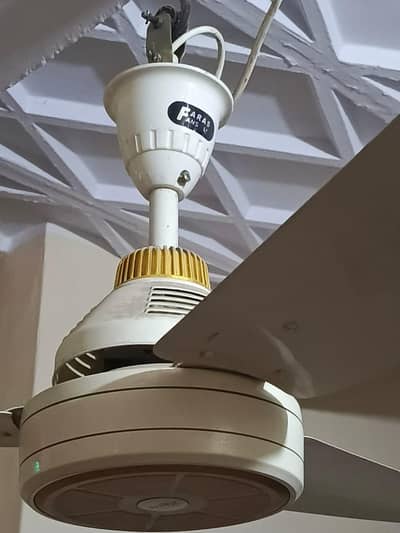 AC DC Fan 12v
