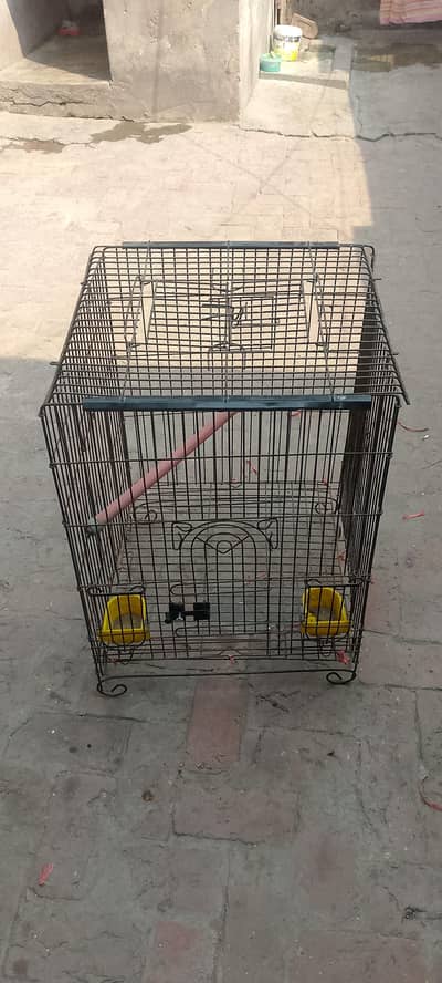 Cage For Sale Hens Parrots Penguins