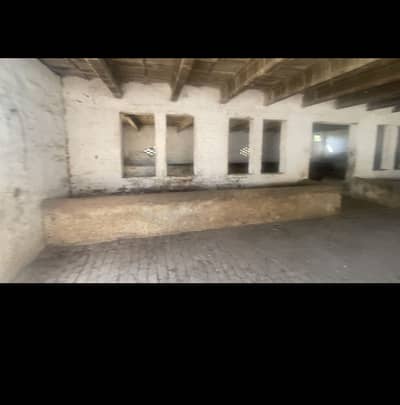 Dairy farm available for rent