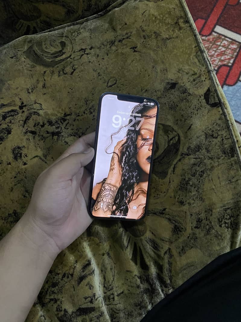 12 pro max 2