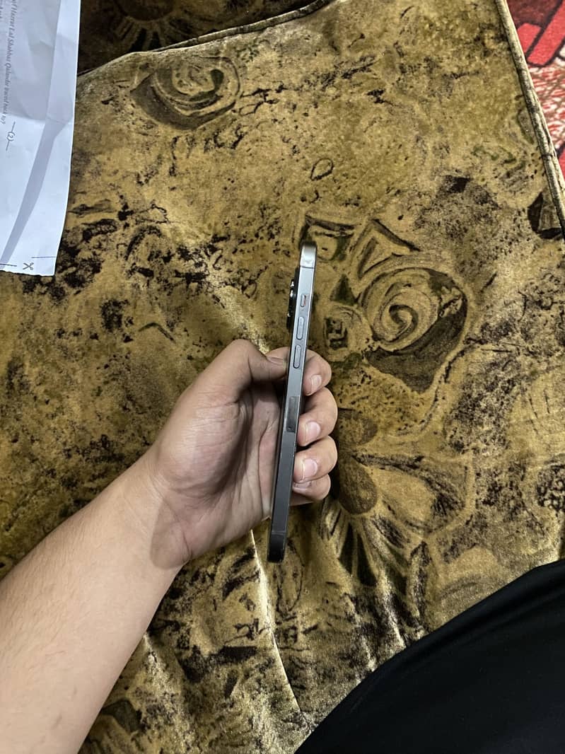 12 pro max 3