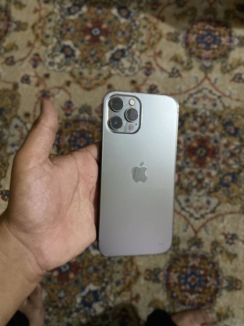 12 pro max 6
