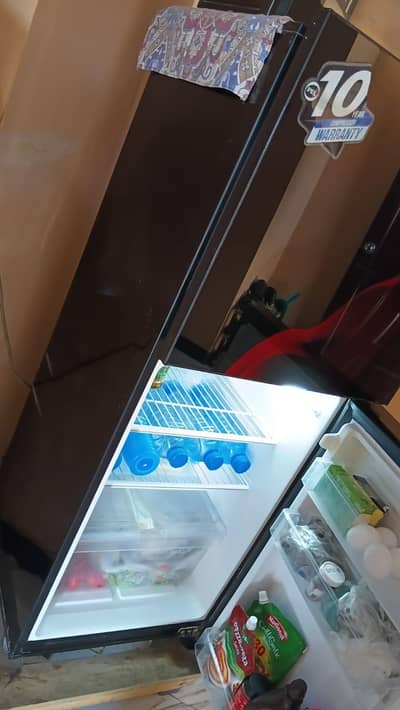 PEL Glass Double Door Fridge