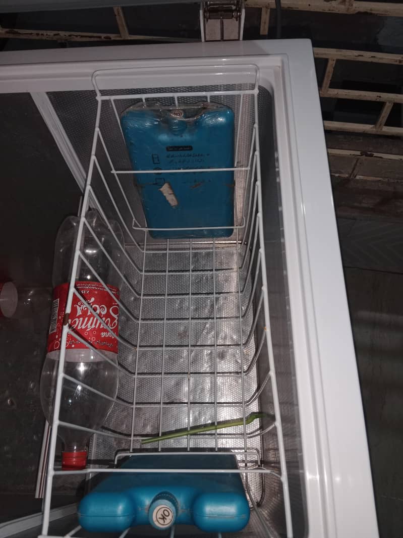 freezer 4