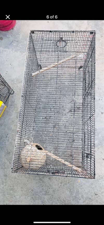 4 portion cage