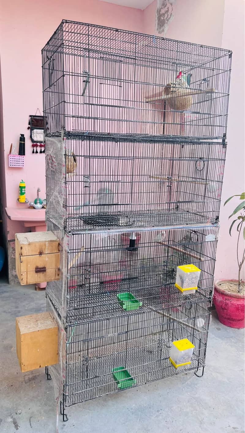 4 portion cage 1