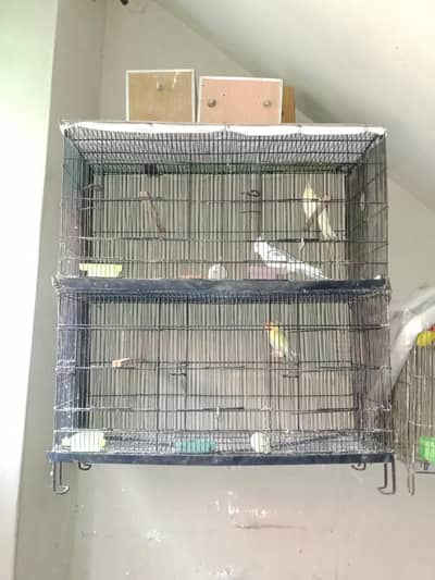 4 portion cage for sale
