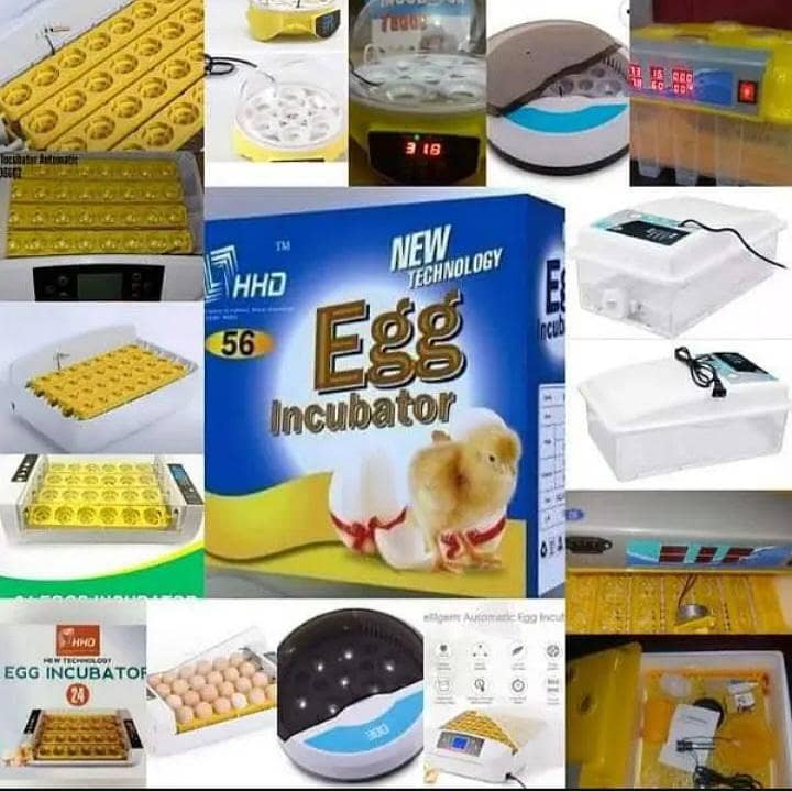 fully automatic incubators 2